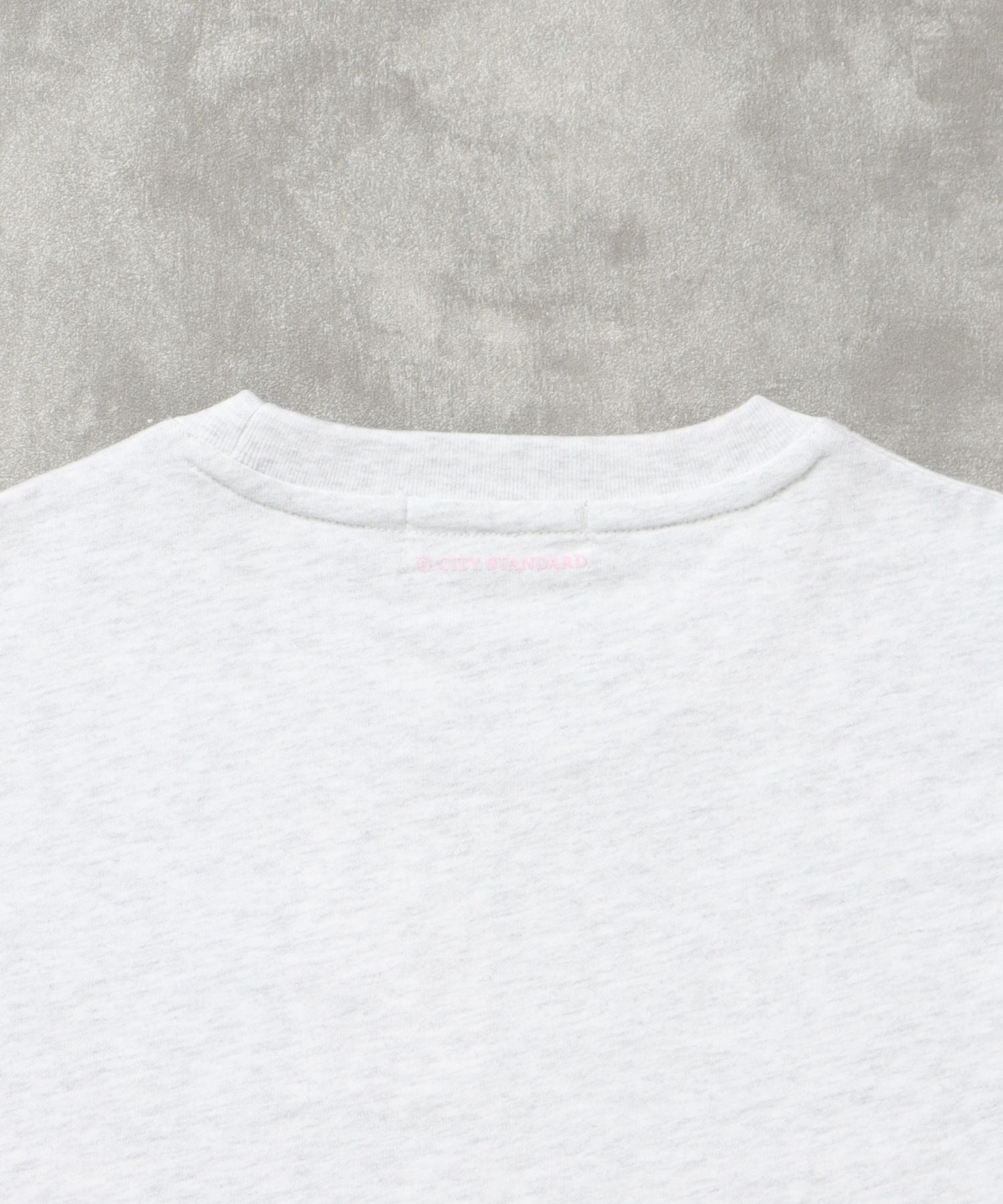 センタープリントロゴショート丈Tシャツ / Tシャツ クルーネック 半袖 プリント アッシュグレー