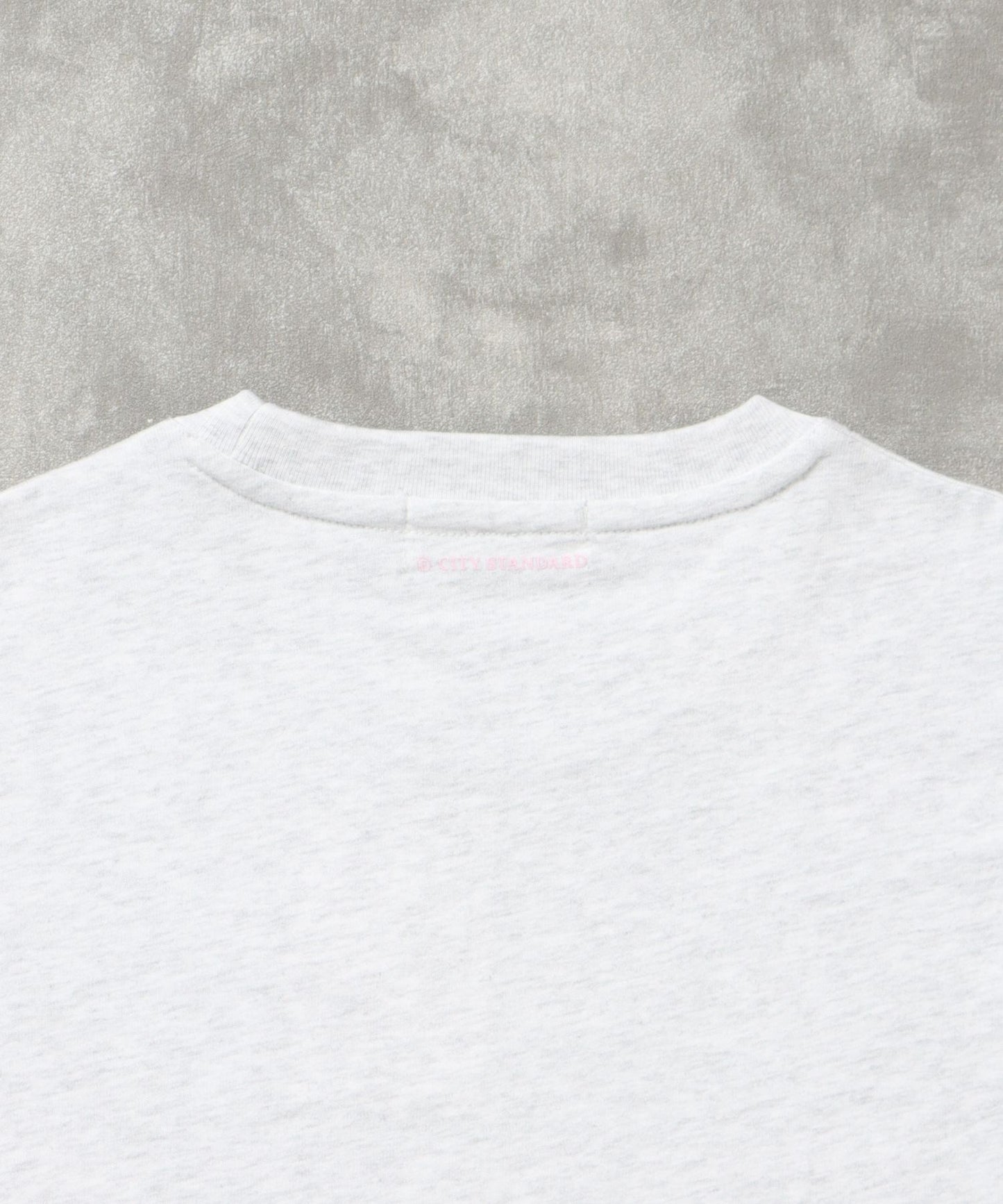 センタープリントロゴショート丈Tシャツ / Tシャツ クルーネック 半袖 プリント アッシュグレー