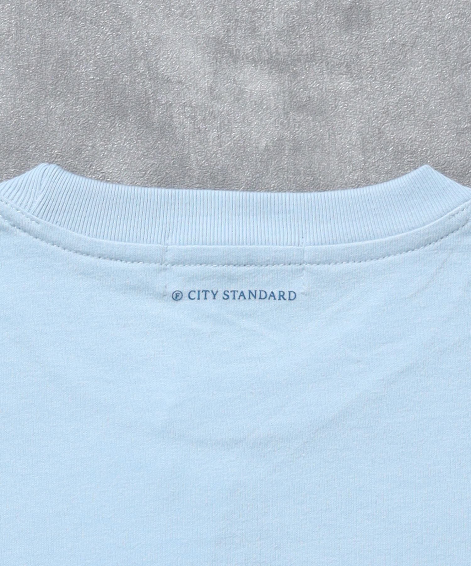 センタープリントロゴショート丈Tシャツ / Tシャツ クルーネック 半袖 プリント ライトブルー