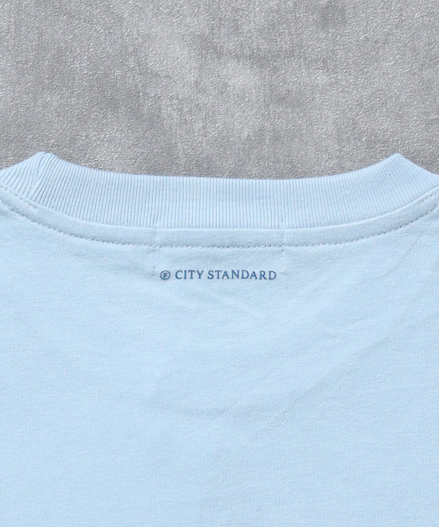 センタープリントロゴショート丈Tシャツ / Tシャツ クルーネック 半袖 プリント ライトブルー
