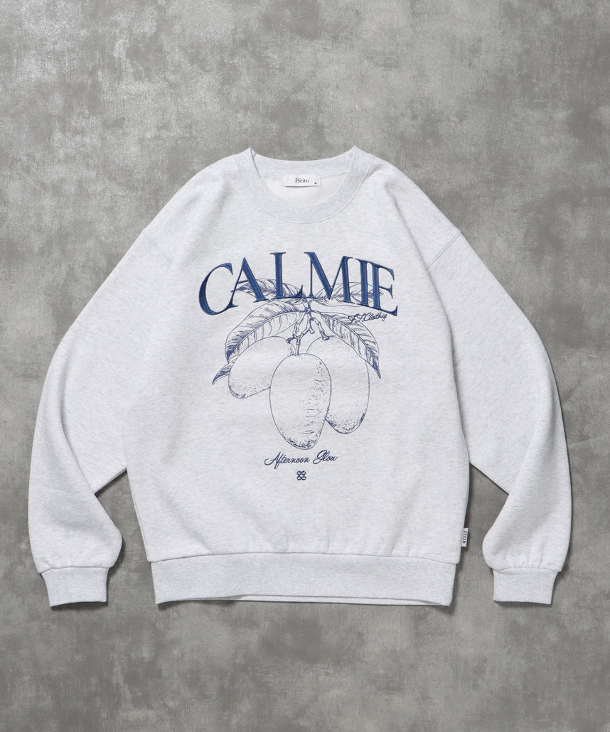 ヘビーウエイトフルーツロゴスウェット / スウェット トレーナー 刺繍 裏起毛 クルーネック アッシュグレー