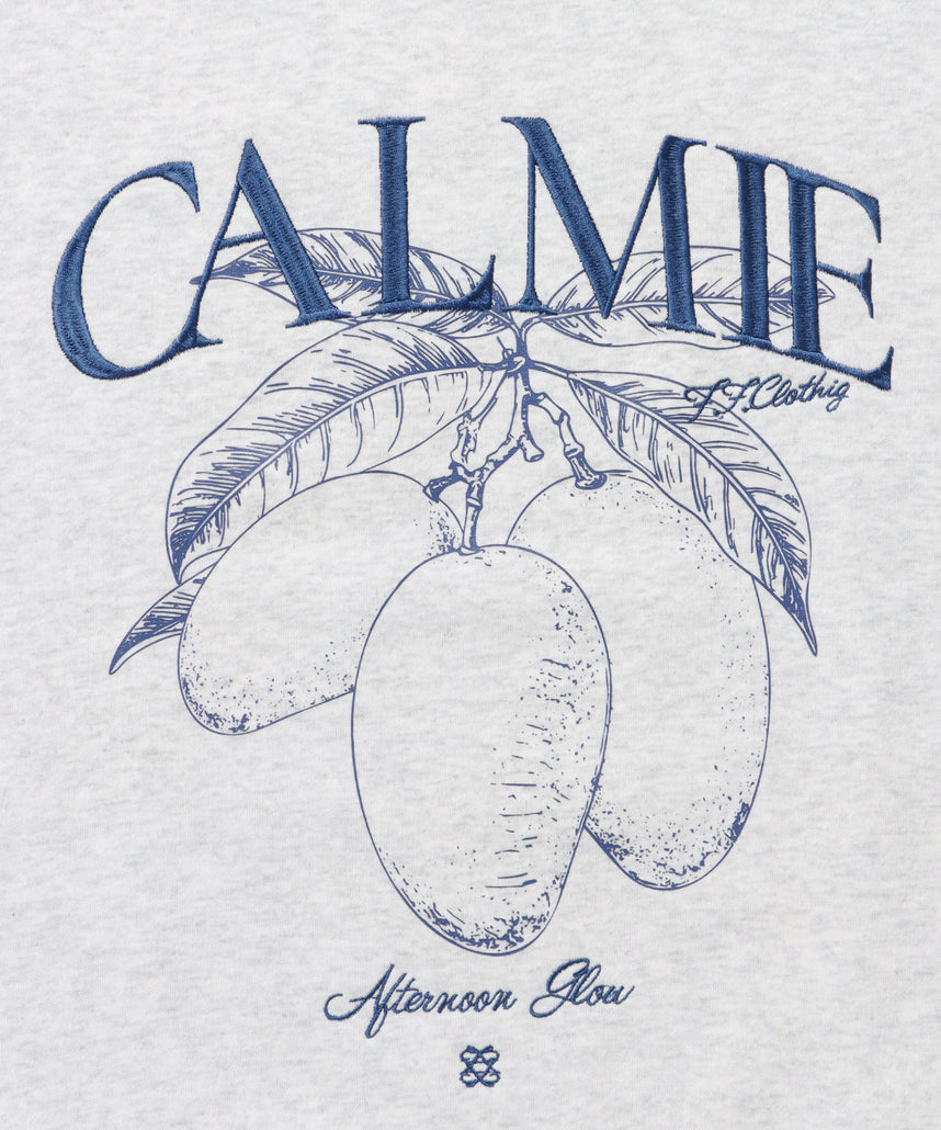 ヘビーウエイトフルーツロゴスウェット / スウェット トレーナー 刺繍 裏起毛 クルーネック アッシュグレー