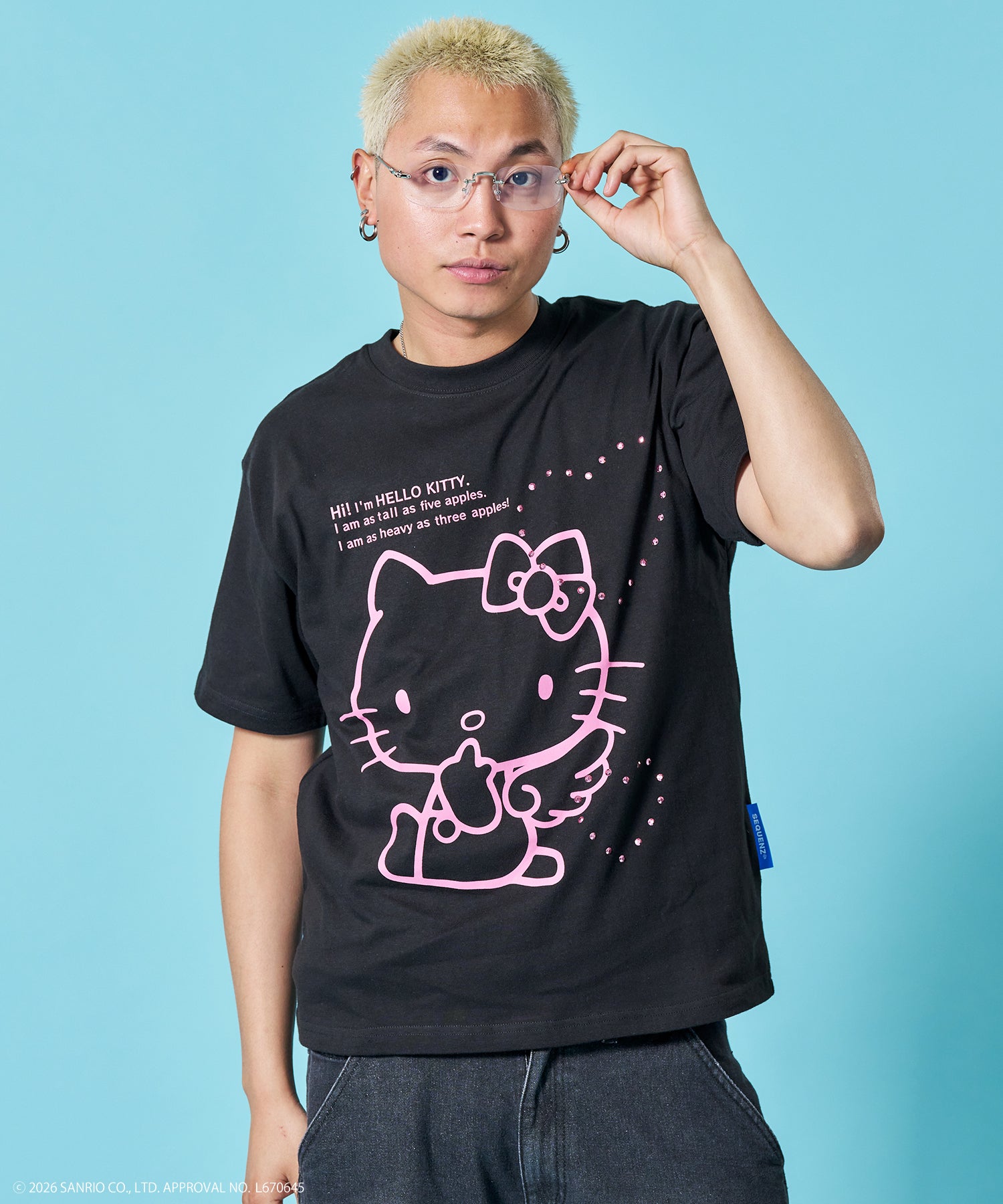 モデル:H178 Size:L ブラック