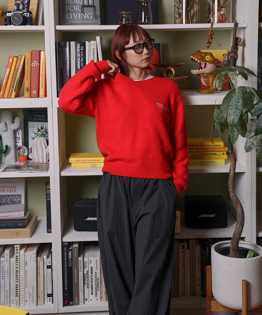 モデル:H163 SizeS