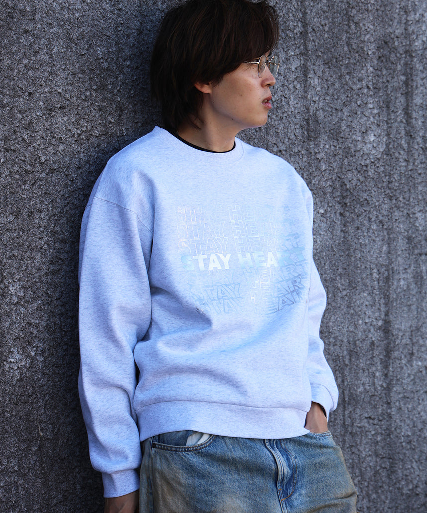 モデル:H178 Size:L 柄01シルバー