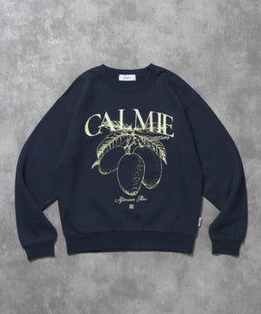 ヘビーウエイトフルーツロゴスウェット / スウェット トレーナー 刺繍 裏起毛 クルーネック ネイビー