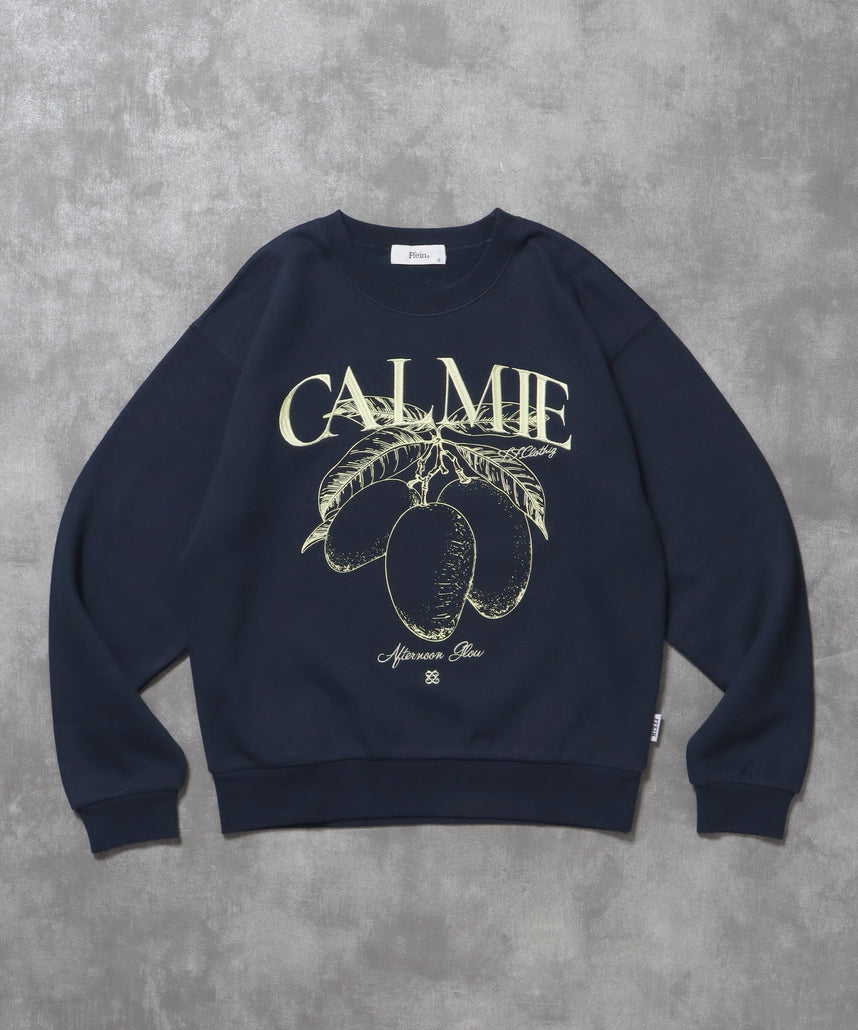 ヘビーウエイトフルーツロゴスウェット / スウェット トレーナー 刺繍 裏起毛 クルーネック ネイビー