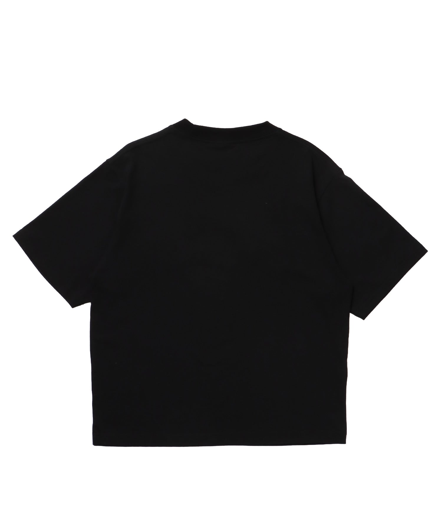 ※WEB限定 / ギンガムチェックワッペン半袖T / sqnz gingham applique tee ブラック
