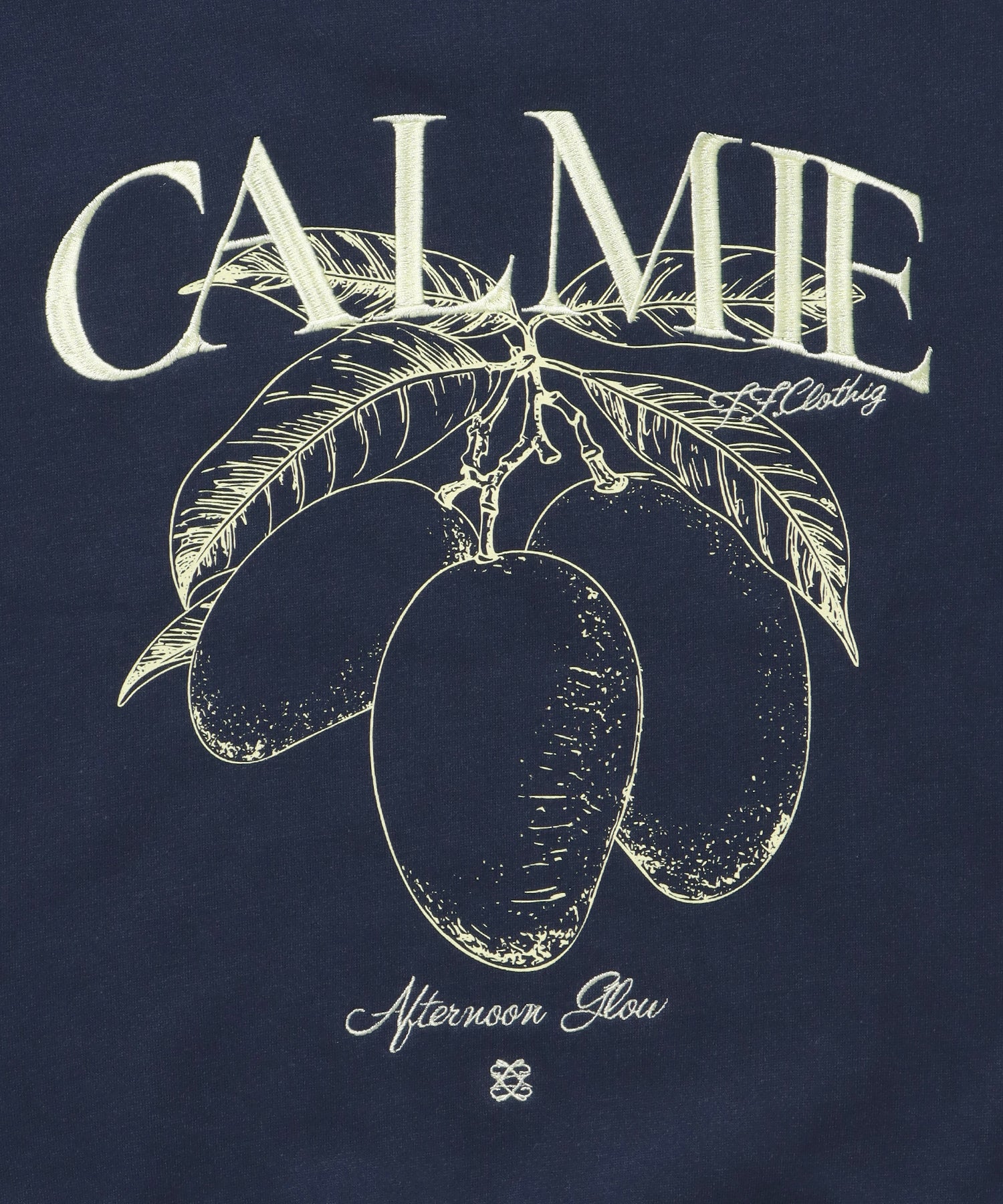 ヘビーウエイトフルーツロゴスウェット / スウェット トレーナー 刺繍 裏起毛 クルーネック ネイビー