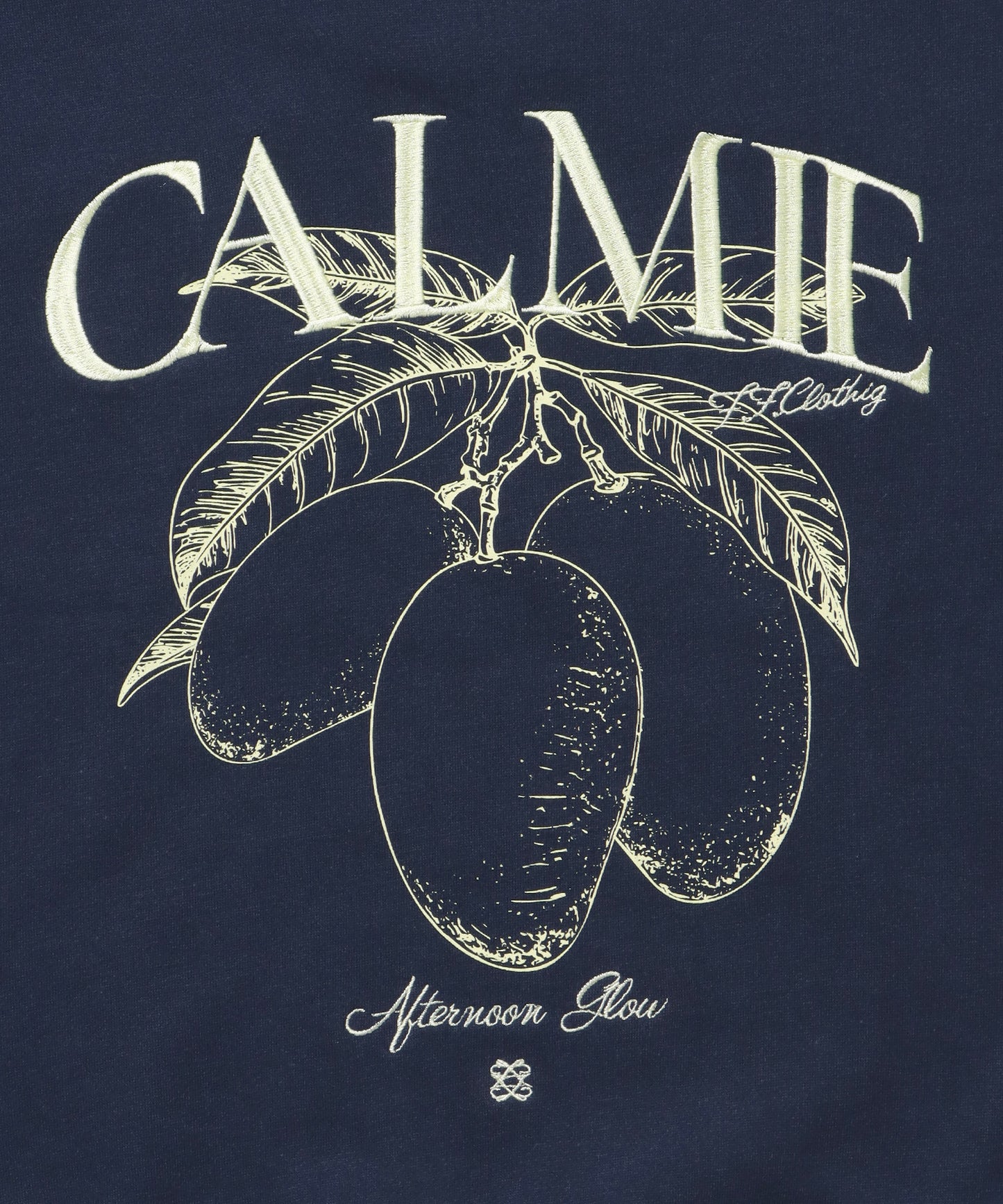 ヘビーウエイトフルーツロゴスウェット / スウェット トレーナー 刺繍 裏起毛 クルーネック ネイビー