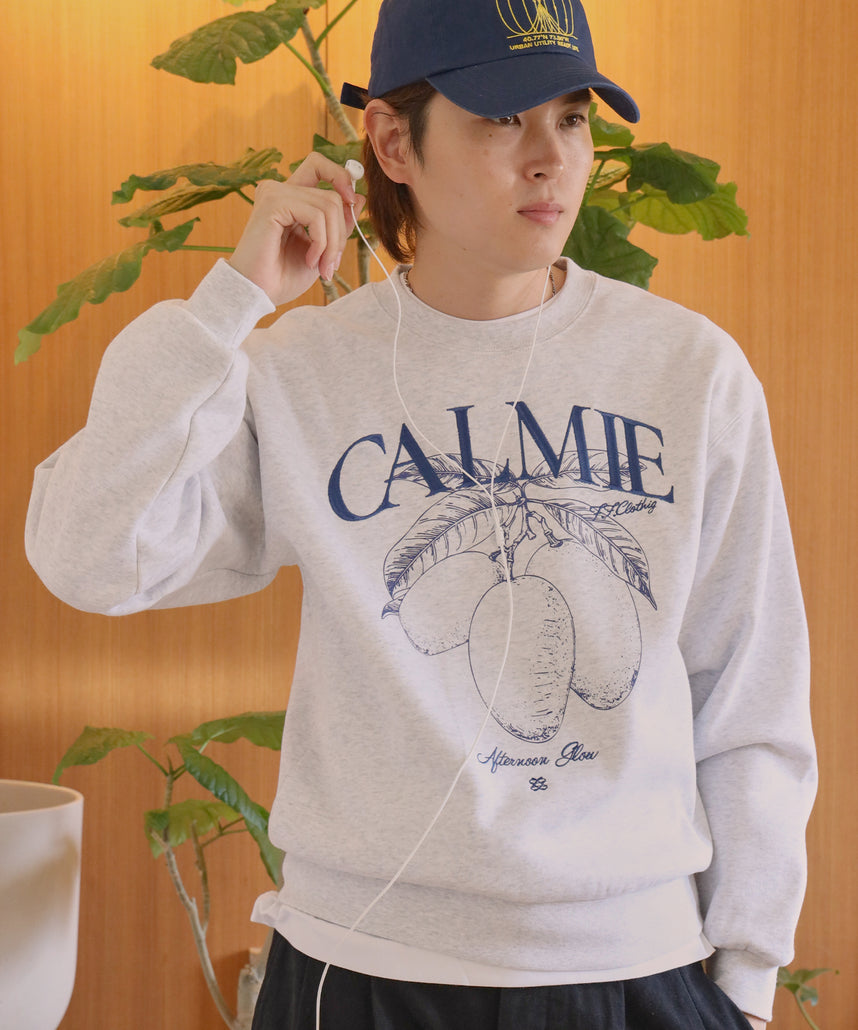 モデル:H178 SizeL