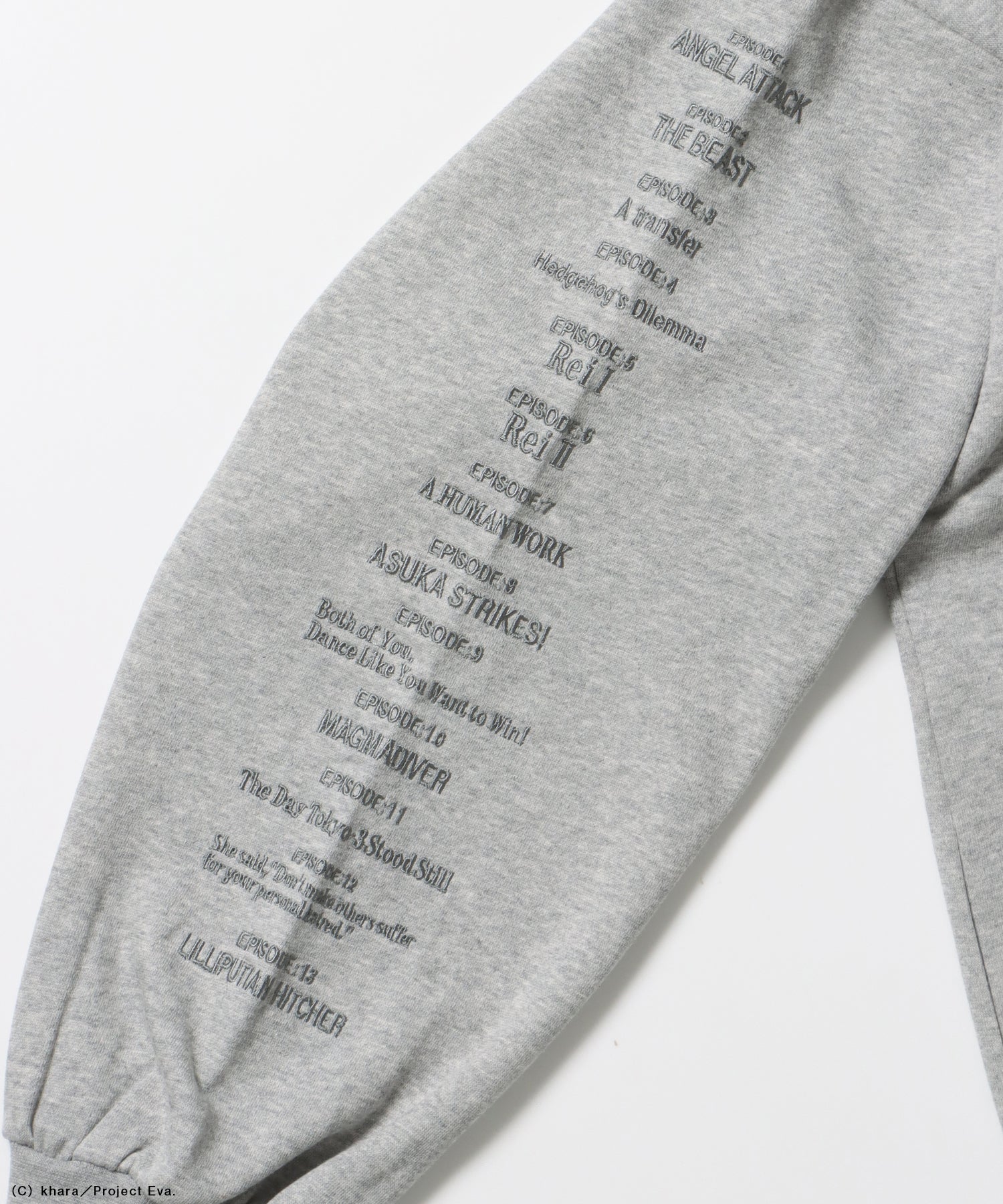 EVA BEST SCENE ZIP PK / オーバーサイズ ビッグシルエット ジップパーカー 刺繍 プリント フーディ 裏起毛 ユニセックス グレー