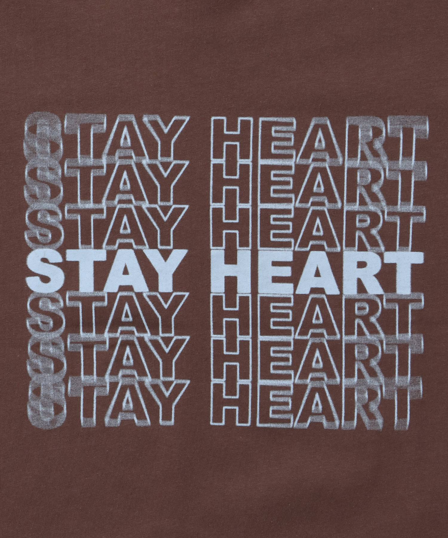 メッセージロゴショート丈Tシャツ / Tシャツ クルーネック 半袖 プリント ぼかしロゴ 【短丈】 モカ