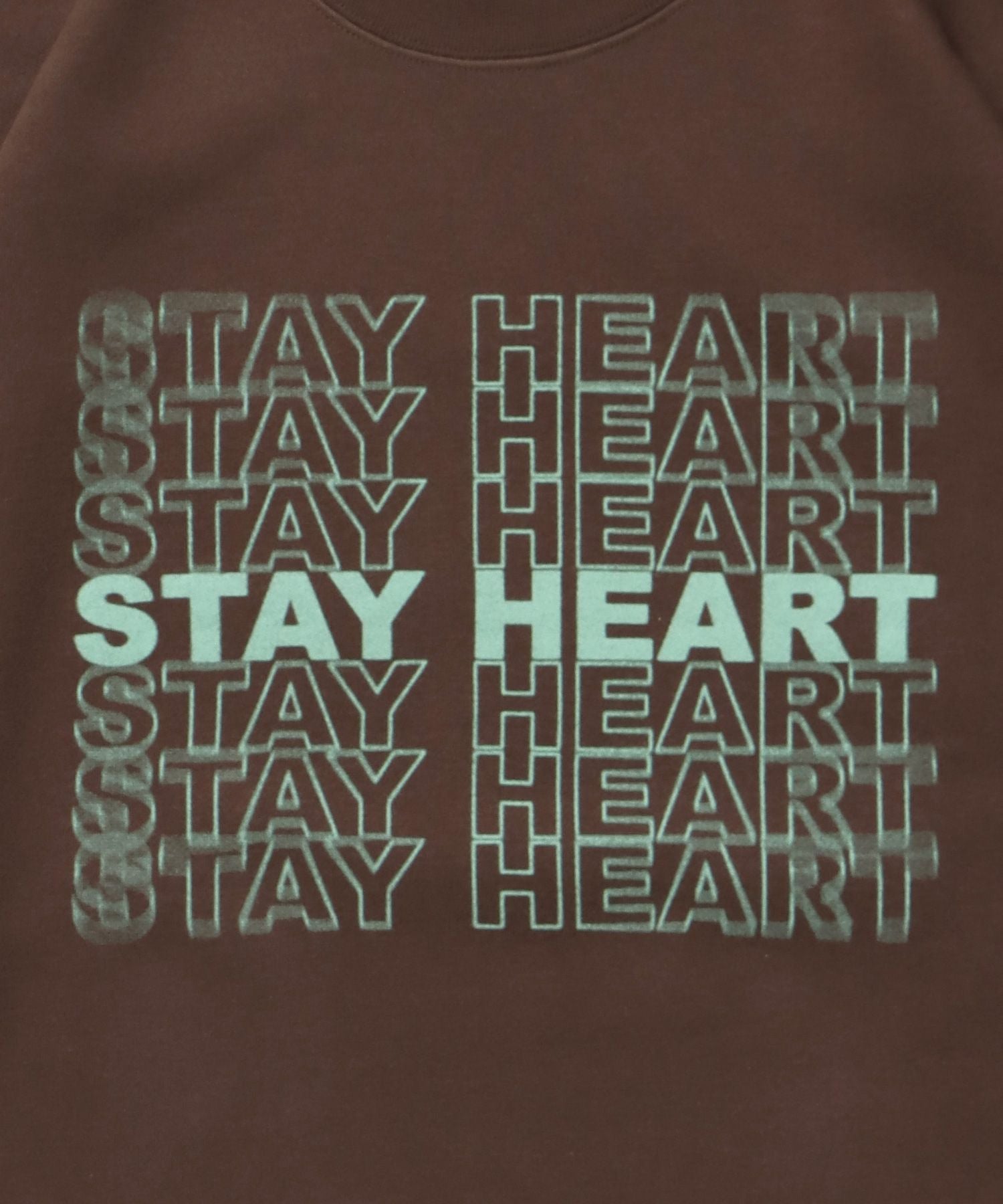 ヘビーウエイトぼかしメッセージロゴスウェット / 裏起毛 スウェット クルーネック プリント ブラウン