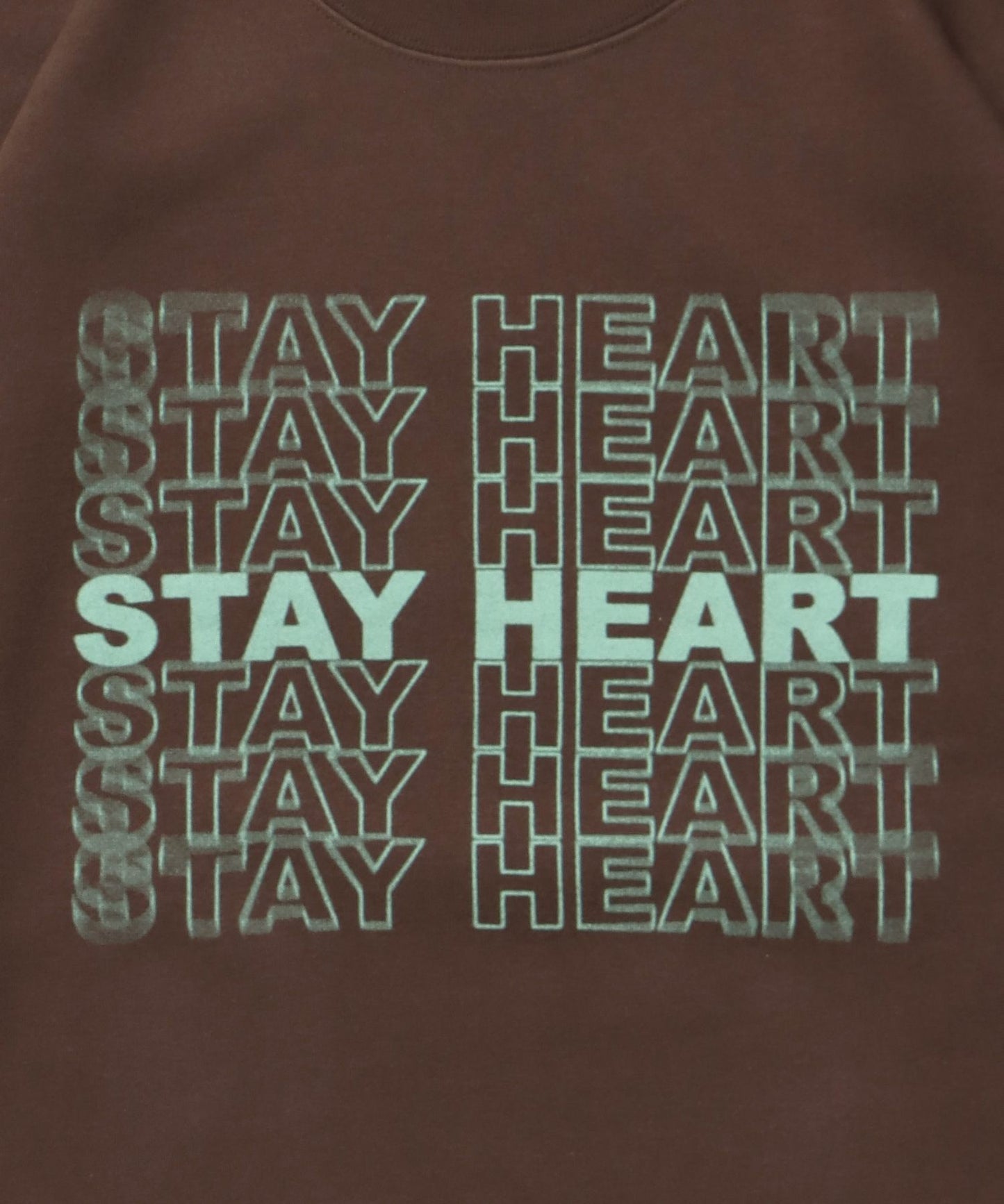 ヘビーウエイトぼかしメッセージロゴスウェット / 裏起毛 スウェット クルーネック プリント ブラウン