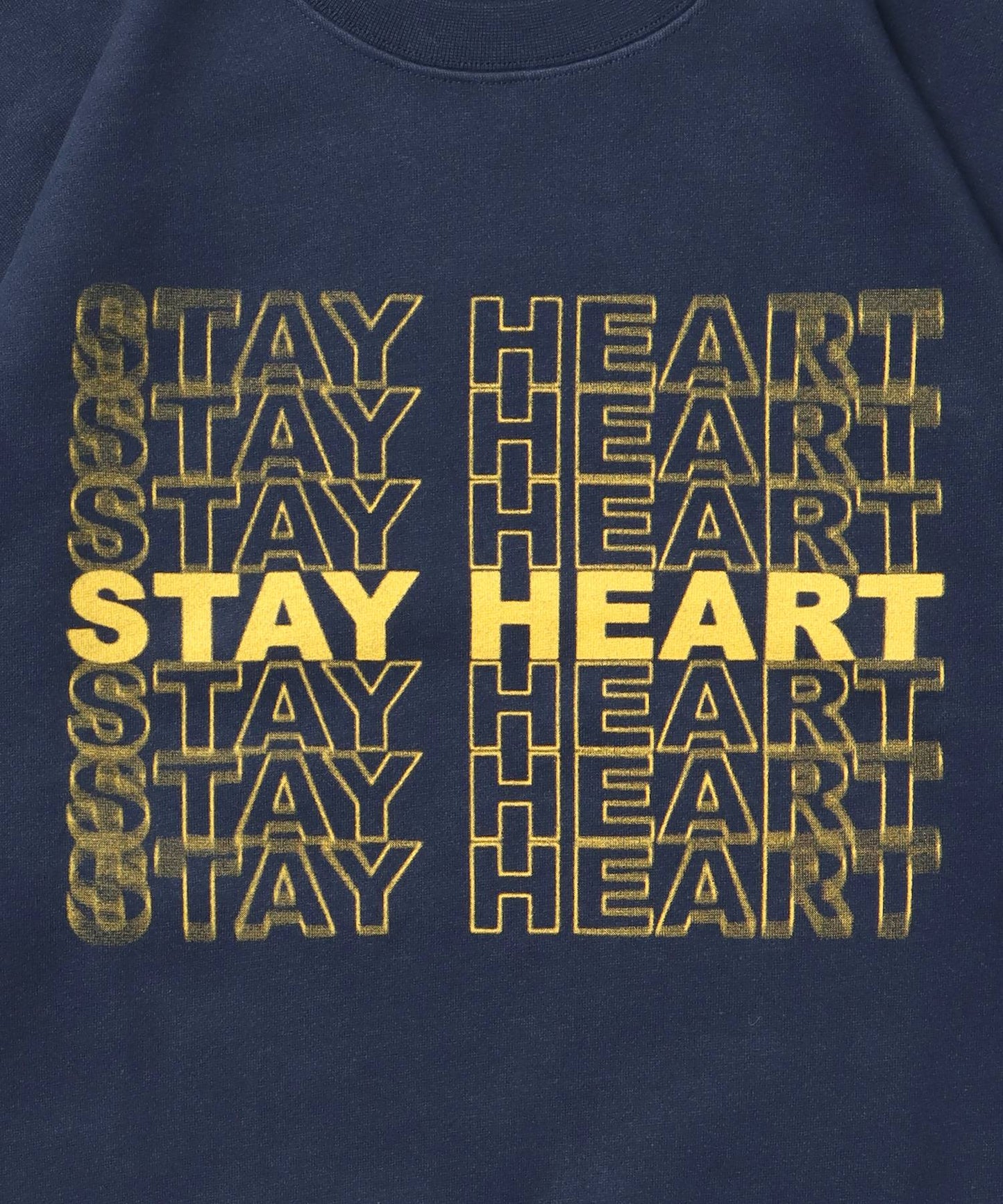 ヘビーウエイトぼかしメッセージロゴスウェット / 裏起毛 スウェット クルーネック プリント ネイビー