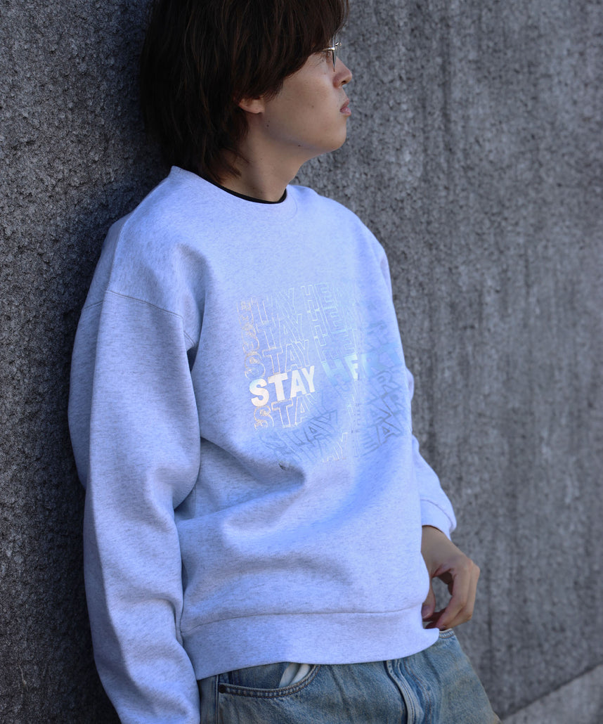 モデル:H178 Size:L 柄01シルバー