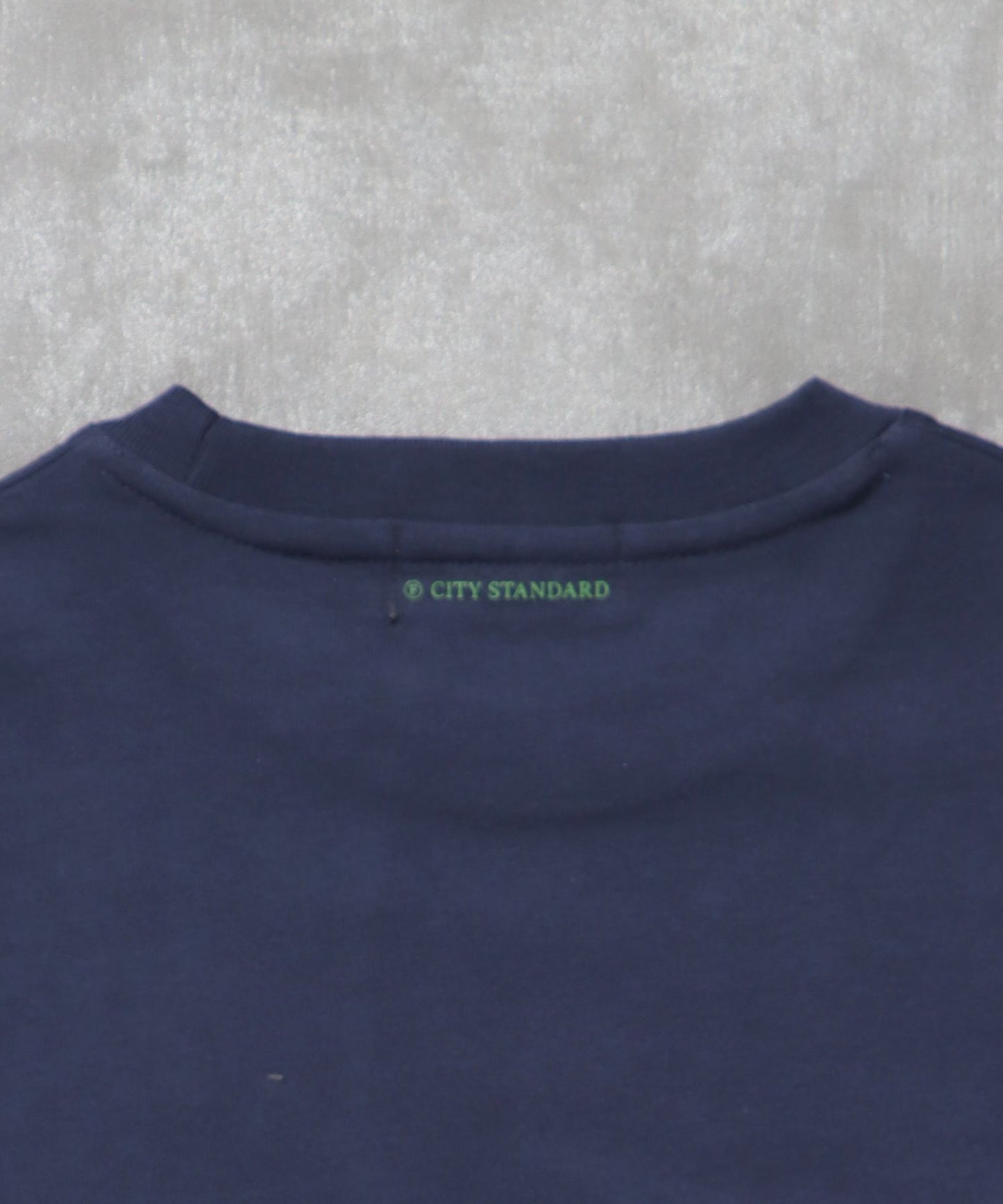 センタープリントロゴショート丈Tシャツ / Tシャツ クルーネック 半袖 プリント ネイビー