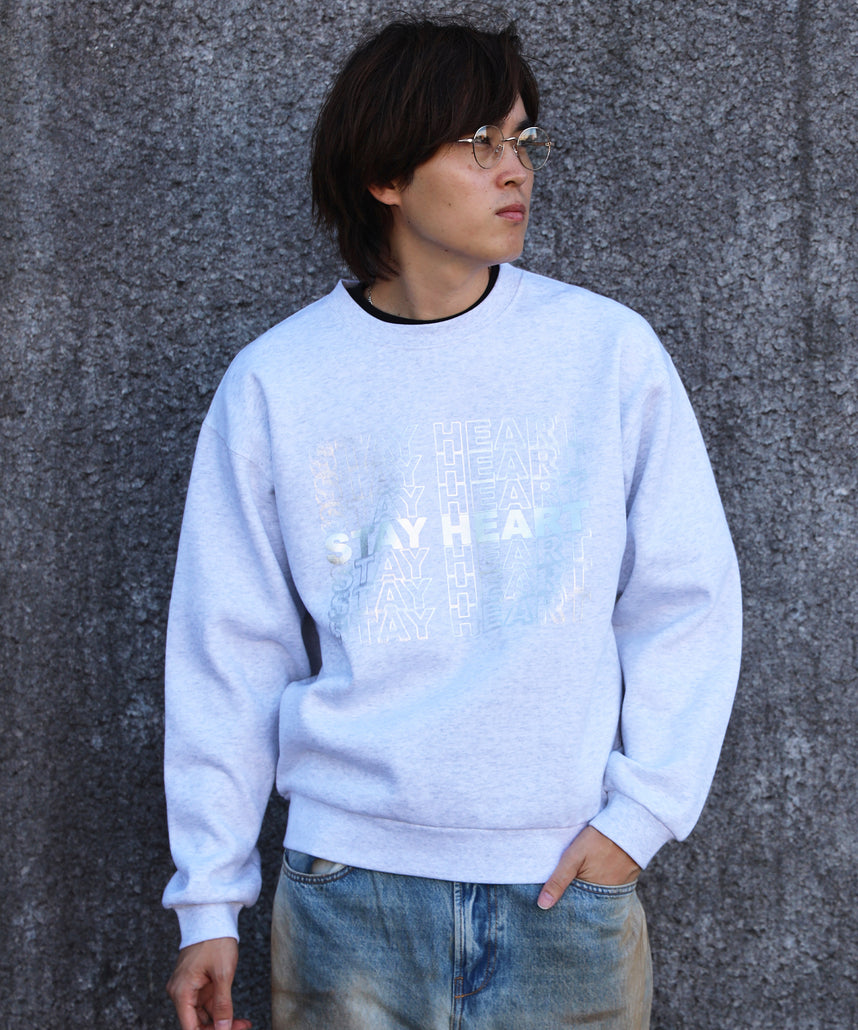 モデル：H178 Size:L 柄01シルバー