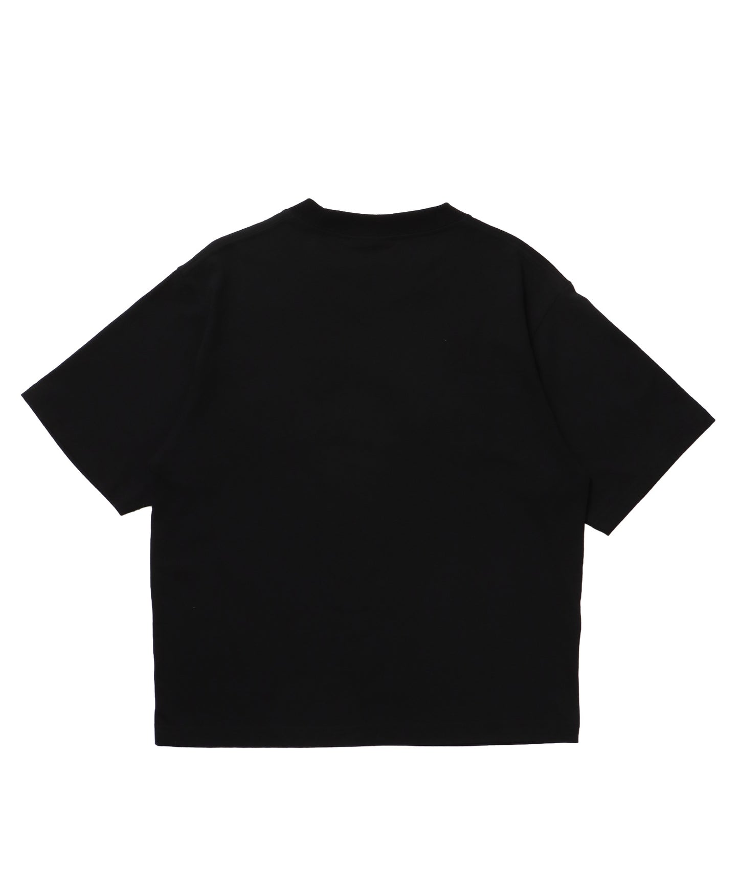 ※WEB限定 / ギンガムチェックワッペン半袖T / sqnz gingham applique tee ブラック