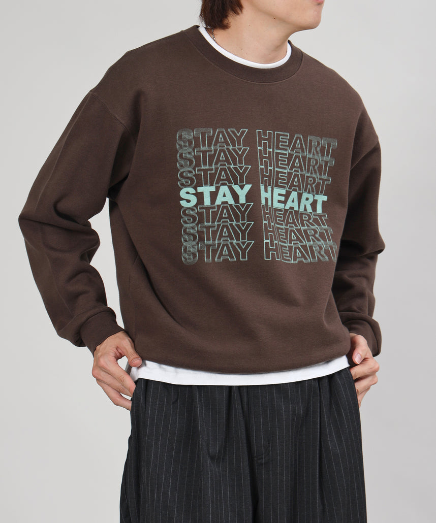 モデル：H178 Size : L ブラウン