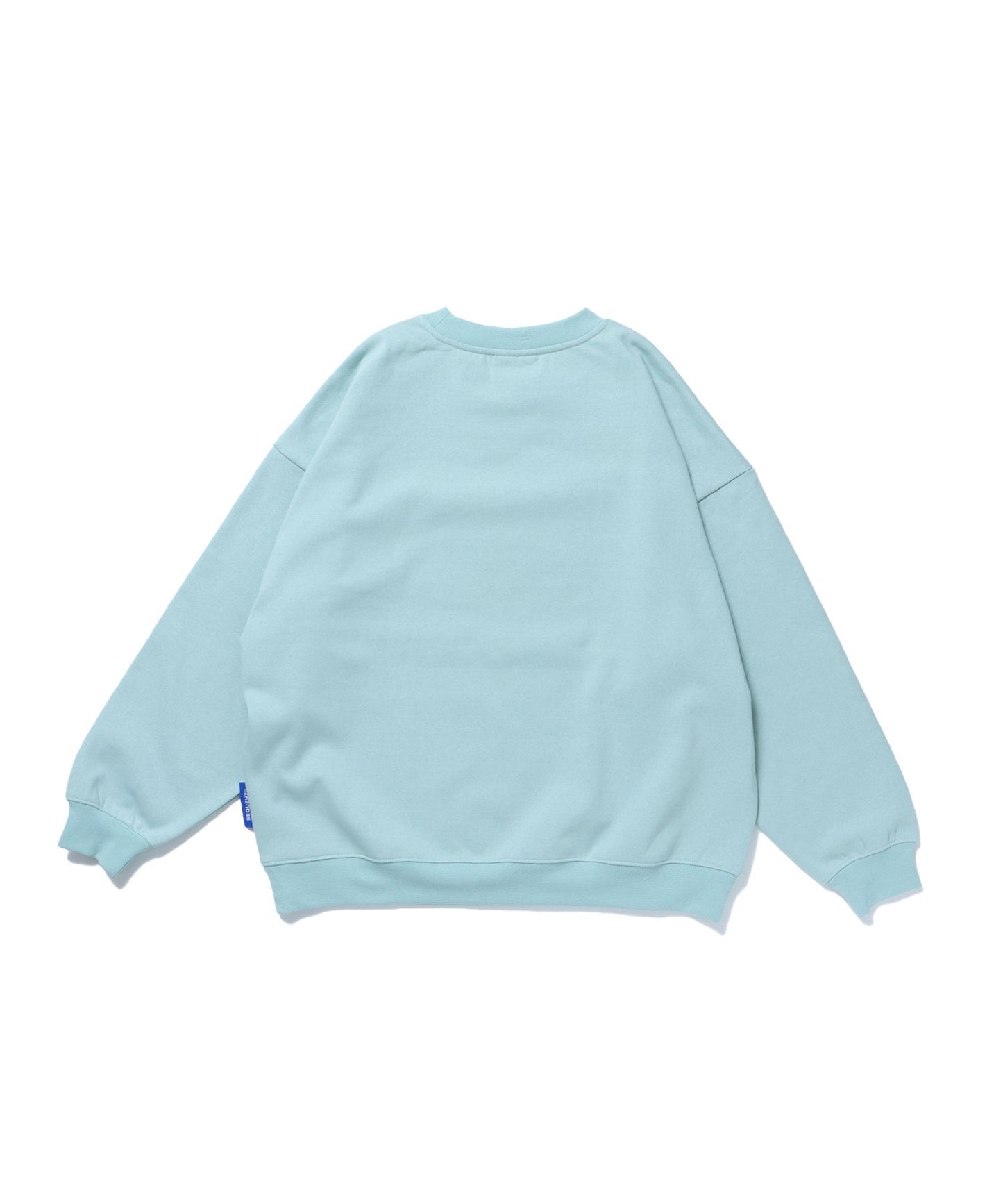 【SEQUENZ】 GHOST IN DA HOUSE C/N SWEAT / ワッペン オーバーサイズ クルーネック スウェット ミント