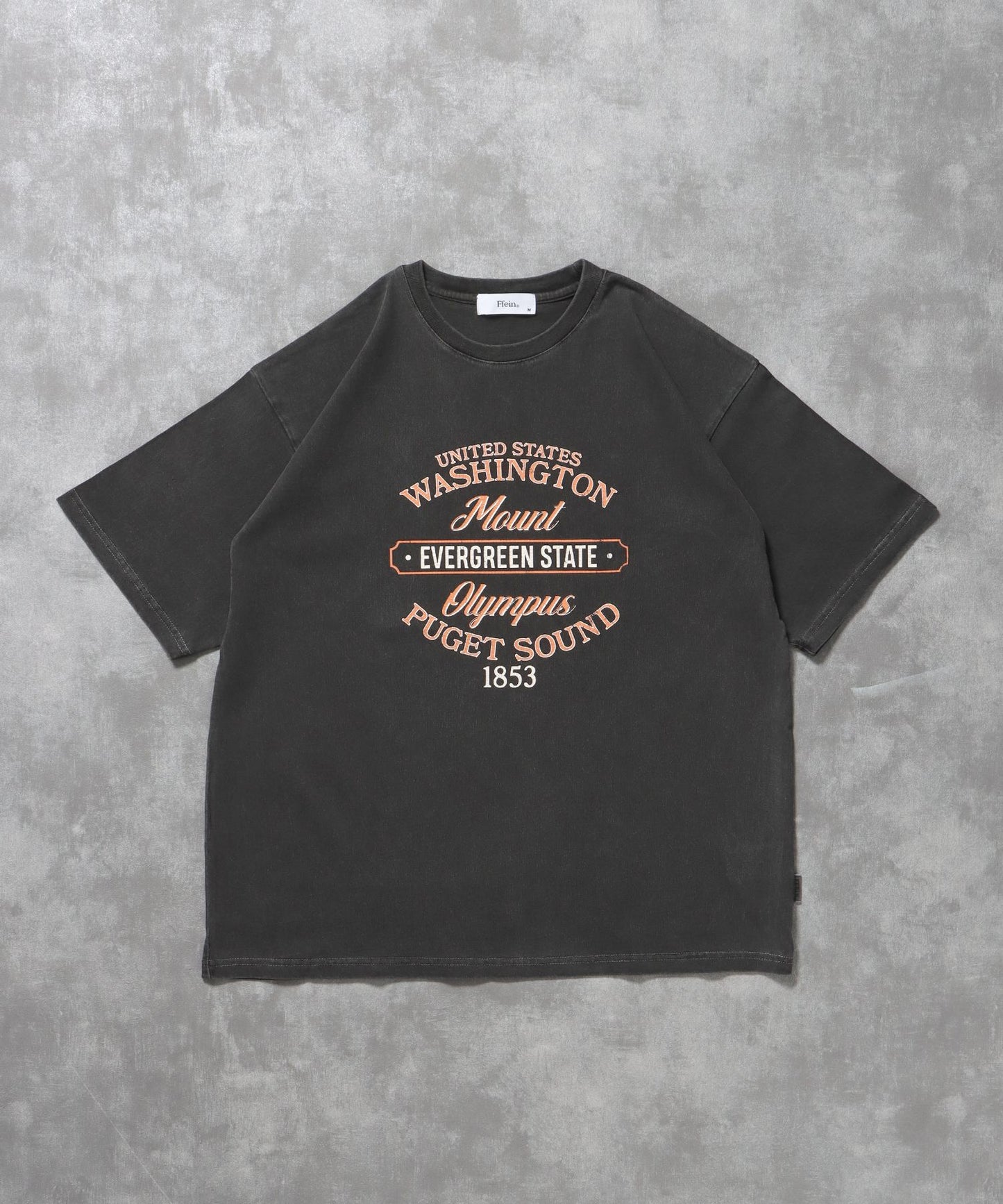 【FFEIN(フェイン)】ヴィンテージロゴデザインTシャツ / Tシャツ クルーネック 半袖 ピグメント加工 古着 アソート 柄82