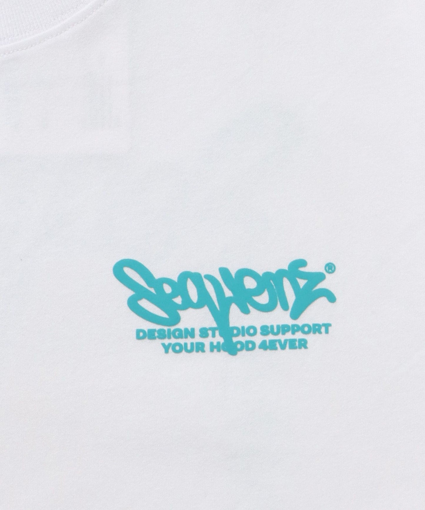 SKATE PHOTO PT S/S TEE / Tシャツ 短丈 クルーネック 半袖 スケーター ホワイト