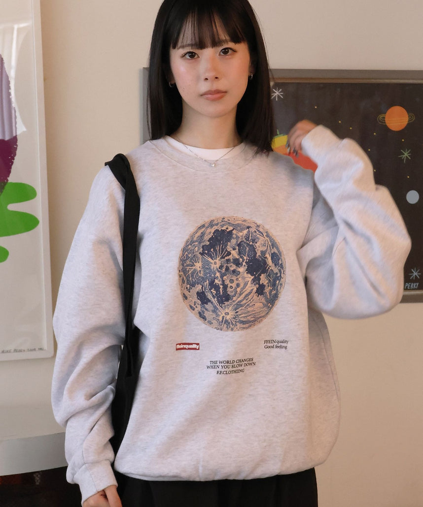 モデル：H160 Size:L アッシュグレー　地球柄