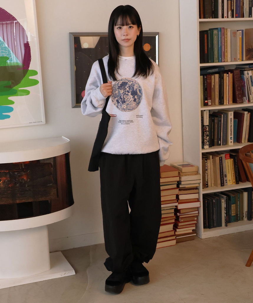 モデル：H160 Size:L アッシュグレー　地球柄