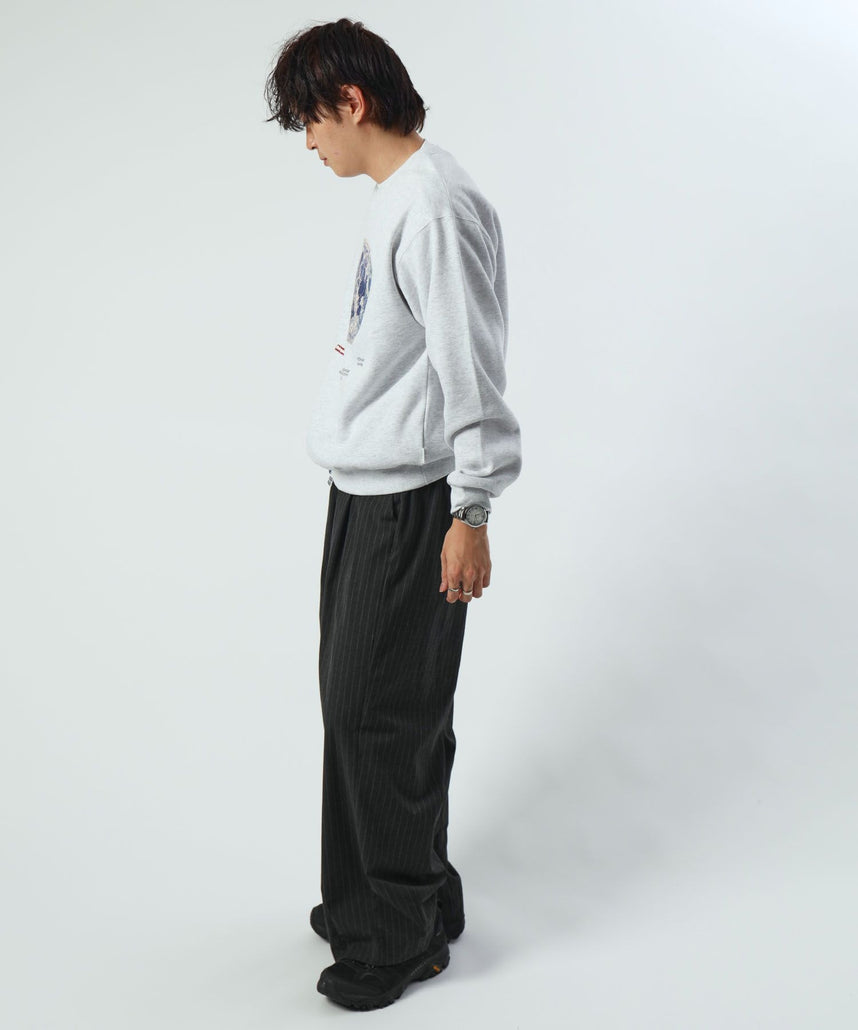 モデル：H178 Size:L アッシュグレー　地球柄