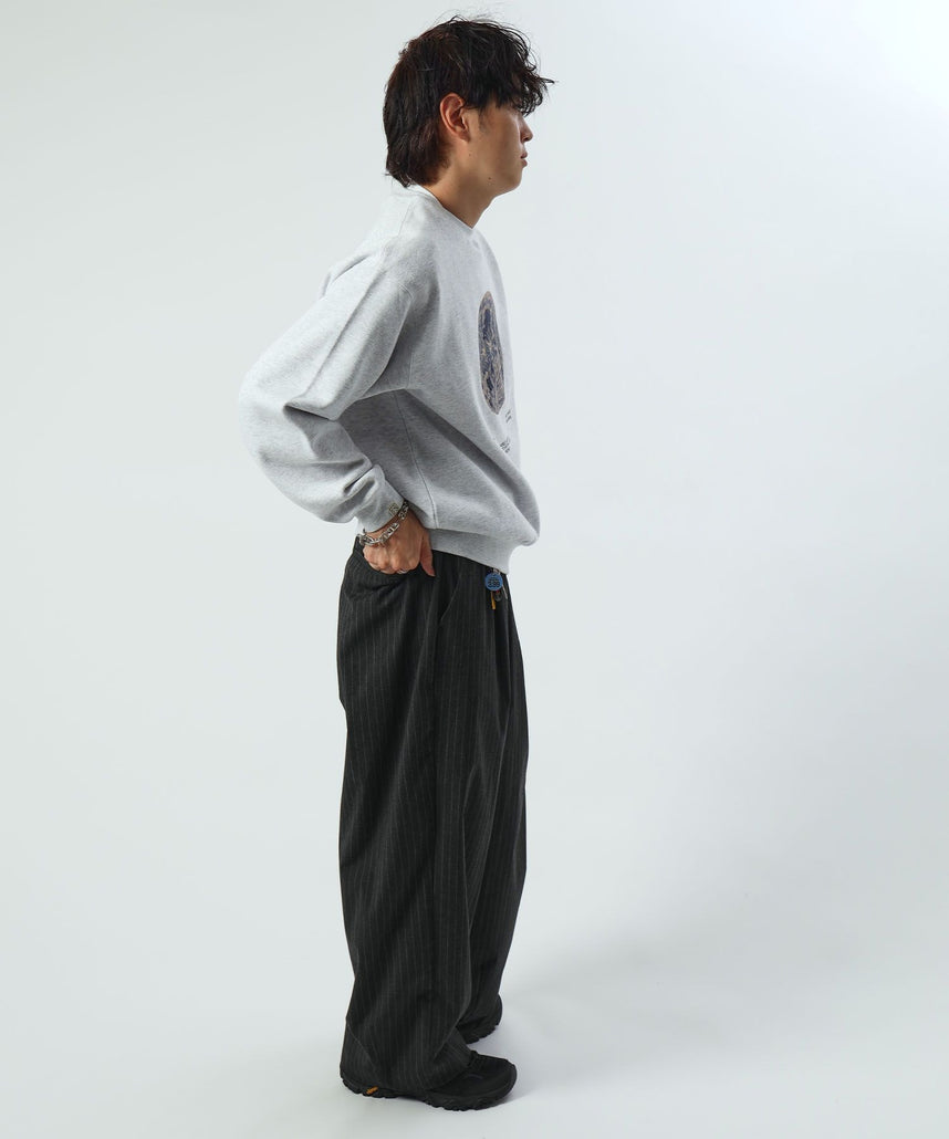 モデル：H178 Size:L アッシュグレー　地球柄